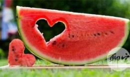 免费吃瓜最新,揭秘网络热点的幕后故事