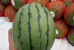 困的吃瓜,探寻心灵慰藉的甜蜜瞬间