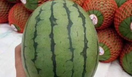 困的吃瓜,探寻心灵慰藉的甜蜜瞬间