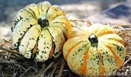 赛后吃瓜,揭秘赛场背后的精彩瞬间