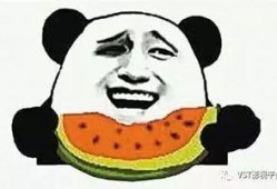 龙珠吃瓜群众视频