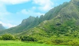 风景如画吃瓜图片,一幅自然画卷中的悠闲时光