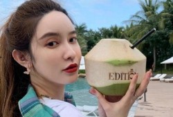 继续吃瓜张大奕,揭秘张大奕的瓜田传奇