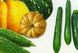 红中吃瓜,揭秘网络热点的背后真相