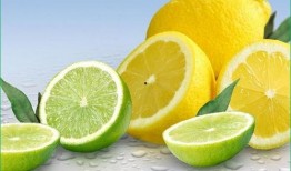 吃瓜不吃柠檬,探寻网络流行语的奥秘