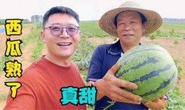 刘大瓜吃牛腿,趣味横生美食大比拼