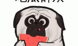 胖达带你吃瓜,揭秘娱乐圈那些事儿