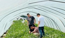 吃瓜爆料站有黄色的瓜吗,吃瓜爆料站，竟有黄色瓜料曝光？