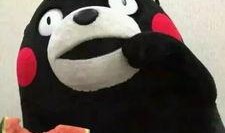熊2吃瓜表情包
