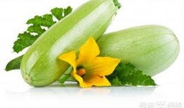 怀孕可以吃土白瓜,土白瓜的营养益处与食用指南