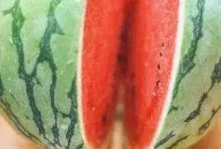 天天吃秋瓜好吗,天天享用，健康相伴
