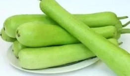 女子吃瓠子瓜视频