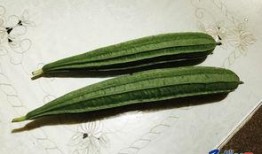 国外邻居吃瓜,揭秘国外邻居的“吃瓜”文化