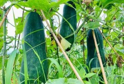 网上劲爆吃瓜,揭秘娱乐圈最新热点事件！