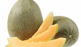 剑羚吃哈密瓜,自然界的和谐画卷