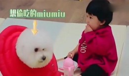 丑妞吃瓜,一场甜蜜的味蕾盛宴