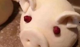 野猪吃瓜头像高清图,趣味横生的自然瞬间