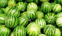 吃瓜的好技巧,掌握这些技巧让你成为瓜界达人