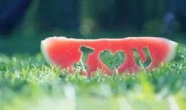 经典吃瓜语录,娱乐圈风云再起，揭秘幕后真相