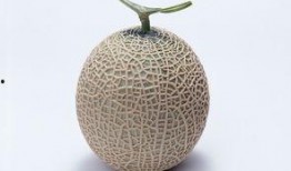 怀孕吃哈密瓜能补叶酸吗,哈密瓜助力健康孕育