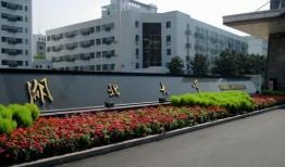 湖北恩施学院吃瓜,揭秘校园风云录