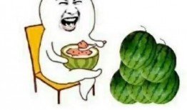 吃瓜娱乐助手,吃瓜娱乐助手带你探秘明星生活