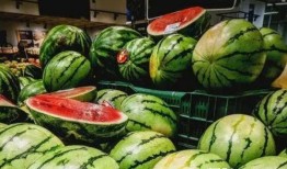 程儿吃瓜,揭秘娱乐圈那些不为人知的幕后故事