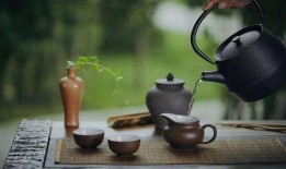 吃瓜与喝茶,品味生活，洞察世间百态