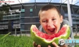 男生回复吃瓜表情包,揭秘男生吃瓜表情包背后的故事