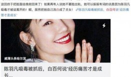 暴躁的吃瓜女孩,揭秘网络舆论场的“辣味”现象