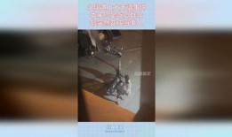 吃瓜群众大无语事件