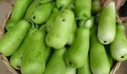 紧急吃瓜视频,紧急吃瓜！揭秘热门视频背后的惊人真相