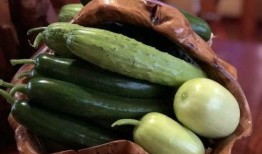 阜阳网红吃瓜,揭秘当地美食文化新潮流