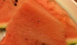 暖气吃瓜,揭秘暖气吃瓜的独特魅力