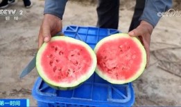 十三吃瓜,揭秘娱乐圈背后的那些事儿