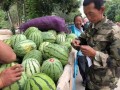 宝我在吃瓜