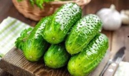 什么瓜叶可以吃,揭秘哪些瓜叶可以安全食用