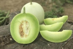 啃着吃的玉瓜叫什么瓜,品味时光的甘甜