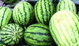 吃瓜群众哪个瓜甜,揭秘“吃瓜群众”心中的甜瓜之王