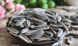 拿瓜子吃瓜图片,拿瓜子共赏美好时光