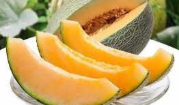 瓜州吃瓜大赛,一场盛夏的甜蜜狂欢