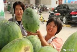 乌海小区吃瓜视频