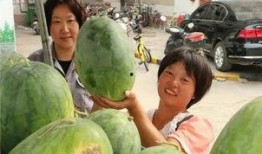 乌海小区吃瓜视频