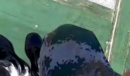 第一视角吃瓜现场,现场吃瓜，揭秘娱乐圈幕后真相