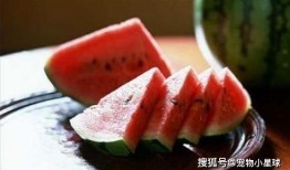 路过吃口瓜,品味人生百态——路过吃口瓜的美食之旅