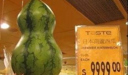 dr吃瓜,揭秘娱乐圈幕后真相，带你领略明星们的真实生活