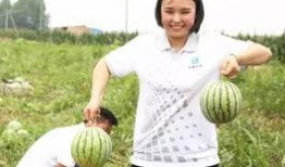 吃瓜群众组口号,揭秘娱乐圈幕后风云