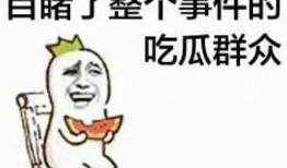 梦鹤吃瓜群众