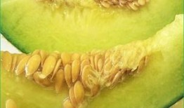 宝宝两周吃哈密瓜好吗,两周宝宝适宜食用哈密瓜的探讨