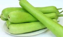 小瓠瓜怎么吃,解锁健康美味新体验